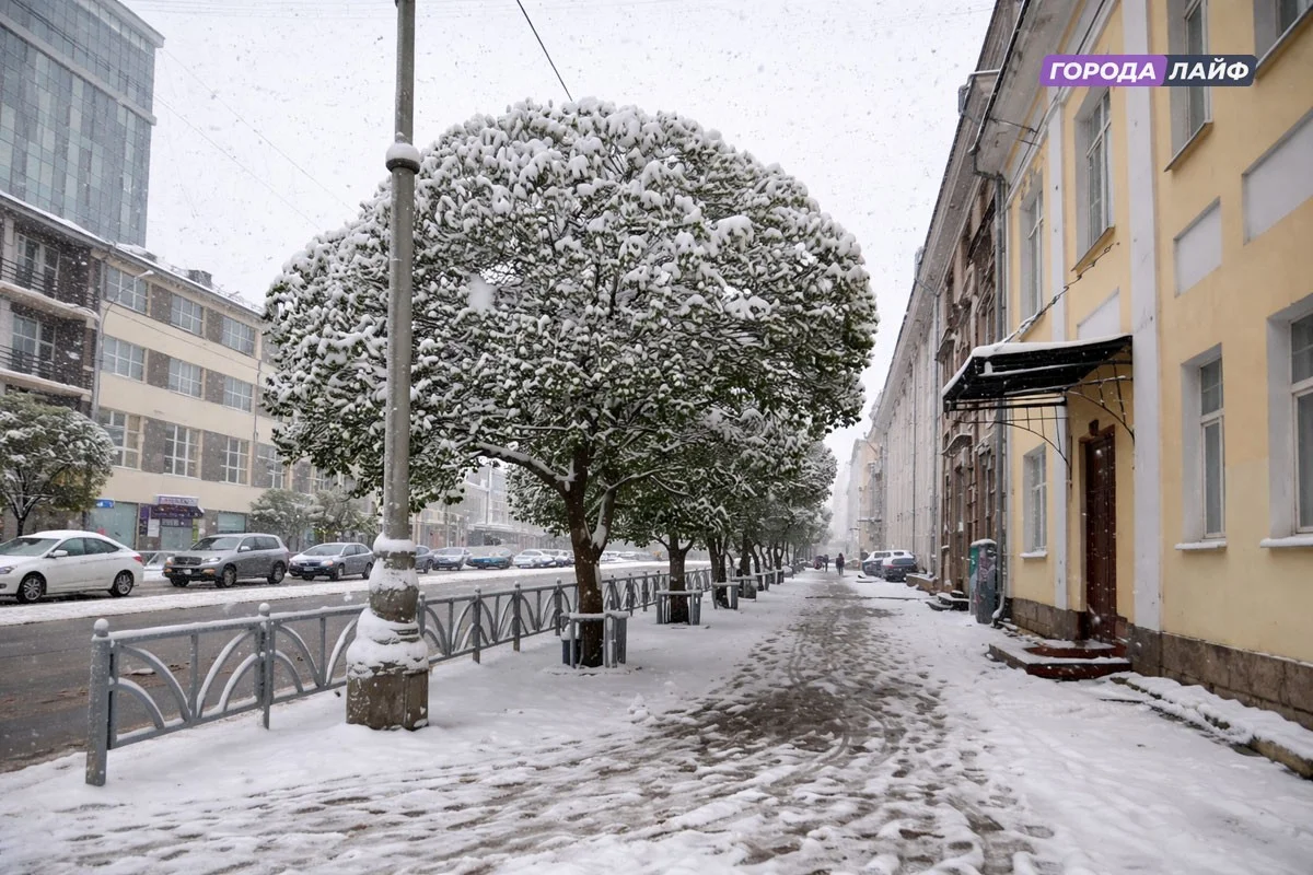 ������� ���� � ����� ��������� � ������������ �������