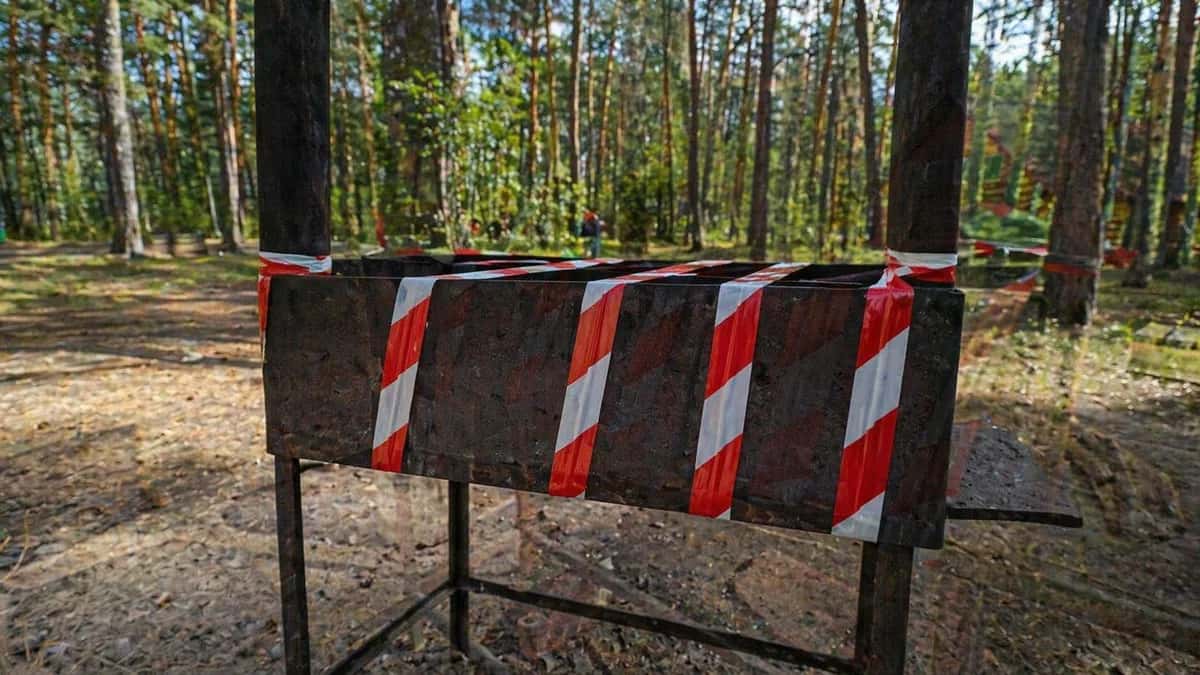 Что запретят жителям Свердловской области из-за пожаров