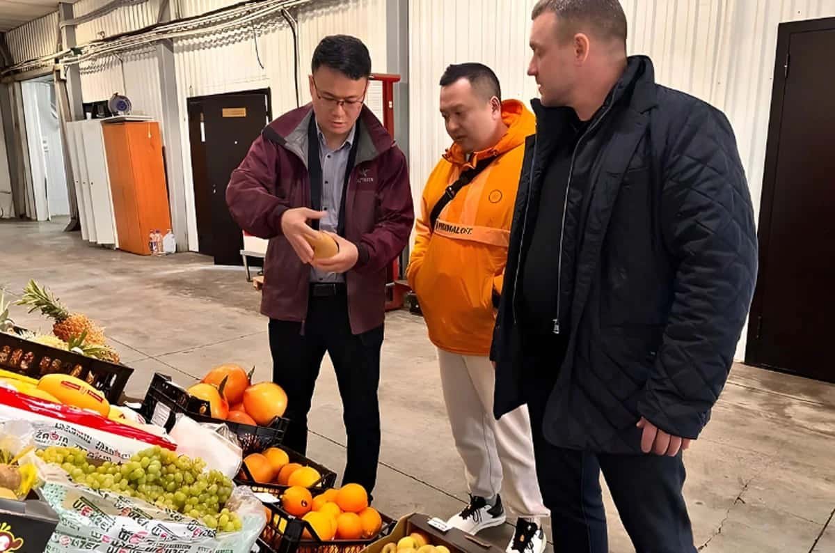 В Свердловскую область начнут поставлять манго и драгонфрукты из Китая