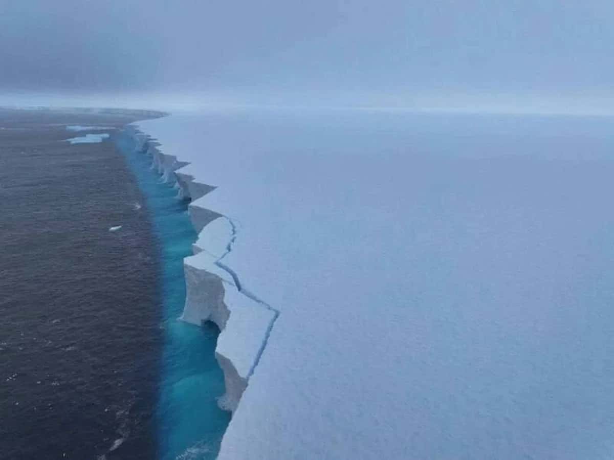 40-летний айсберг стремительно тает