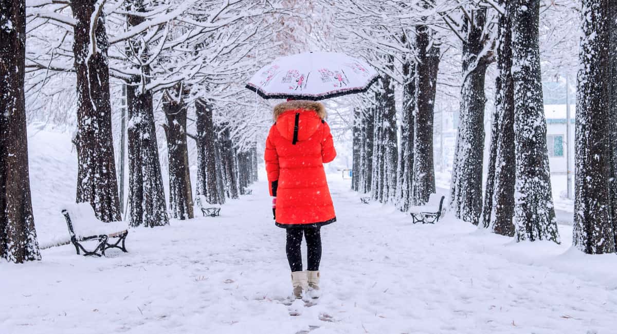 Аномальный месяц — ледяные дожди и гололед: как изменился прогноз на февраль 2026