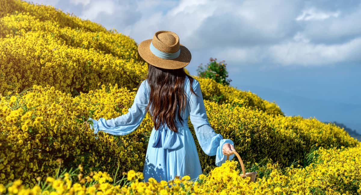 Погода зимой-2026 расскажет, каким будет лето – жарким или холодным