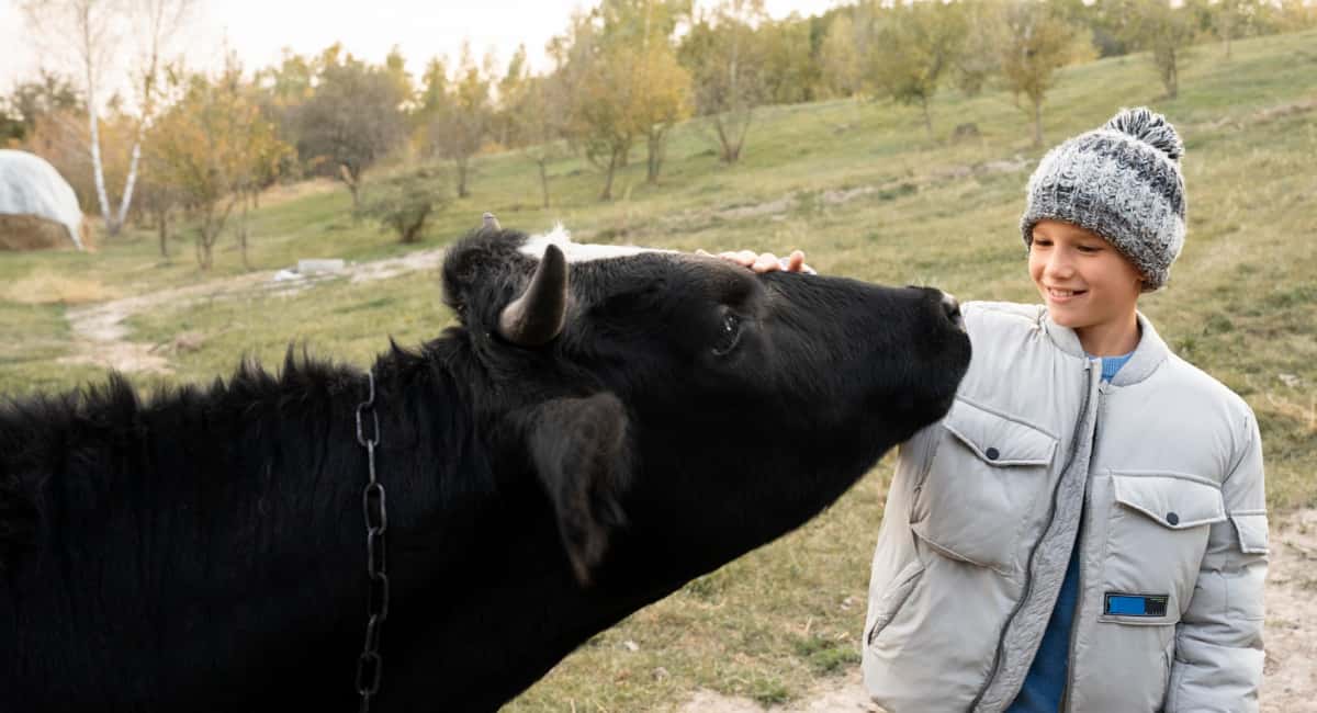 Переехали жить в деревню и только через год поняли, почему в деревнях больше не живут сельским хозяйством - причина