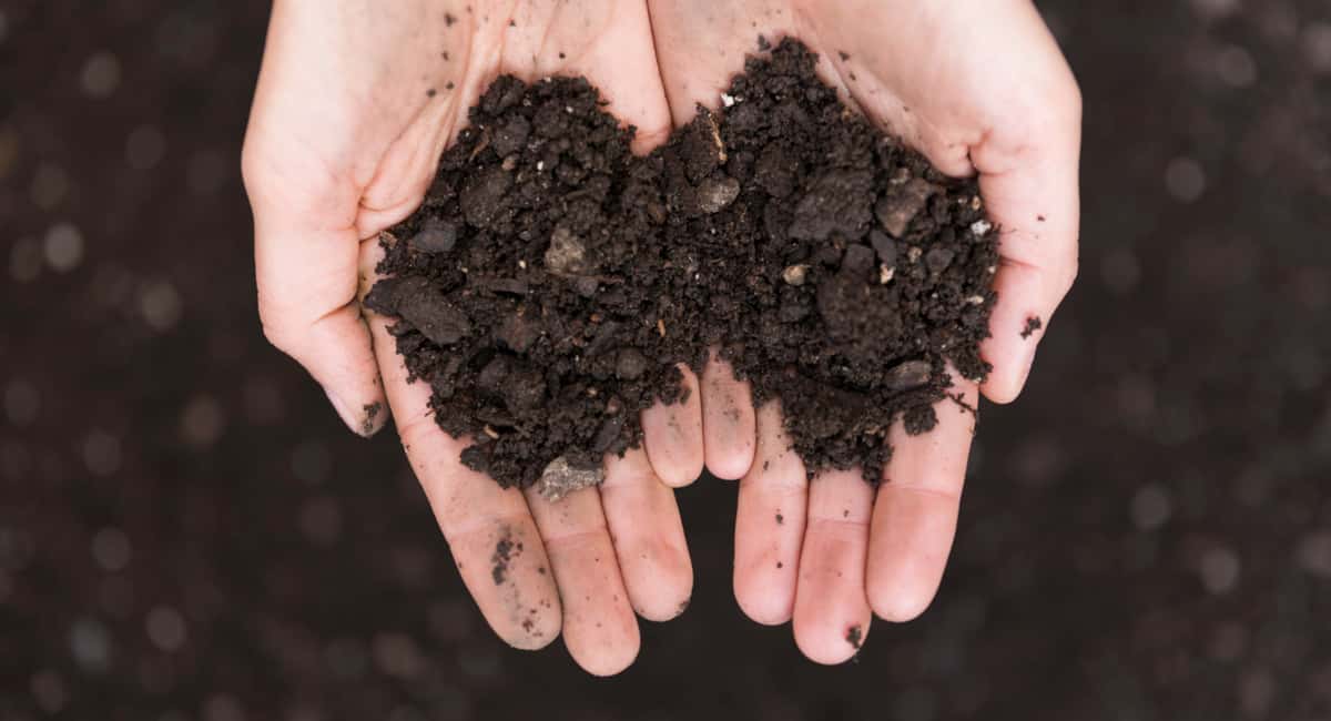 Чернозём за копейки: 1 «пузырёк» заменит 100 кг навоза. Проливаю все грядки после схода снега