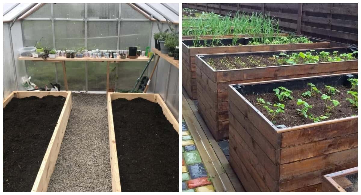 Земляные грядки — не вариант: показываю систему умных грядок, урожай в 2 раза выше