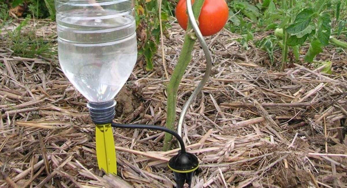 Старые теплицы — на дрова: показываю умную систему автополива, которая окупает себя за один сезон