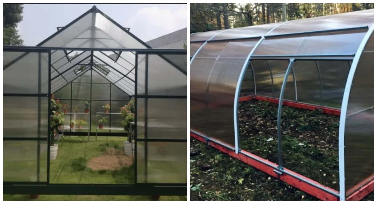 Обычные двери — не подходят: показываю раздвижную систему в теплице, которая экономит место и удобна для прохода