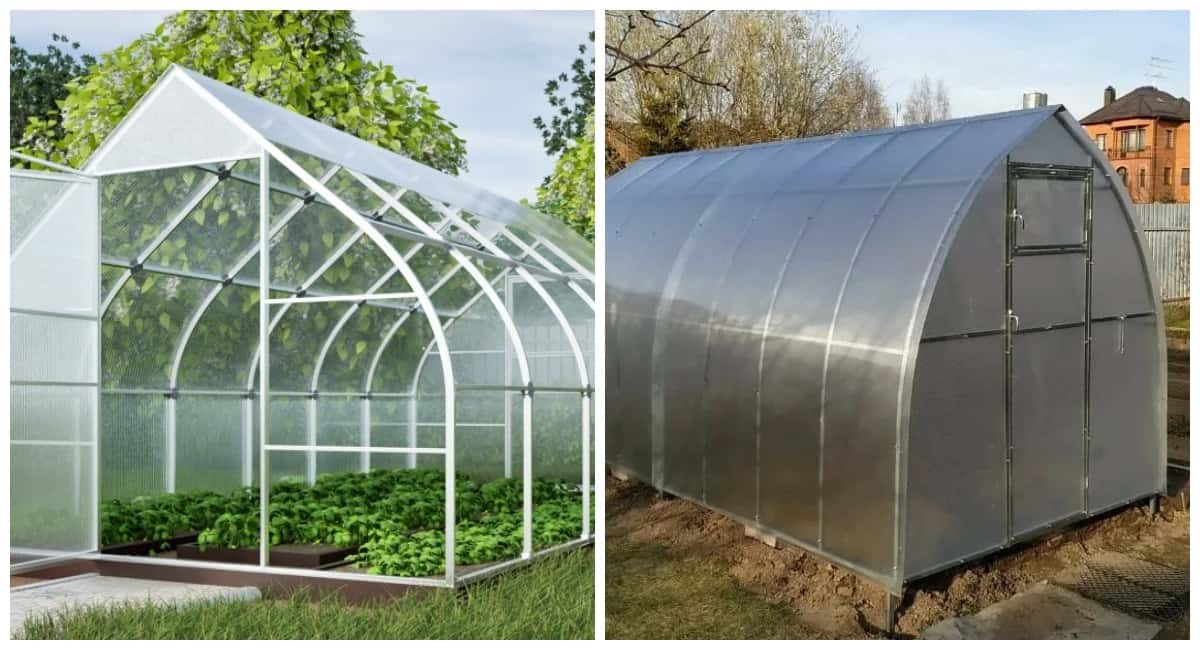 Снеговая нагрузка — не страшна: показываю теплицу-капельку, которая выдерживает любые осадки