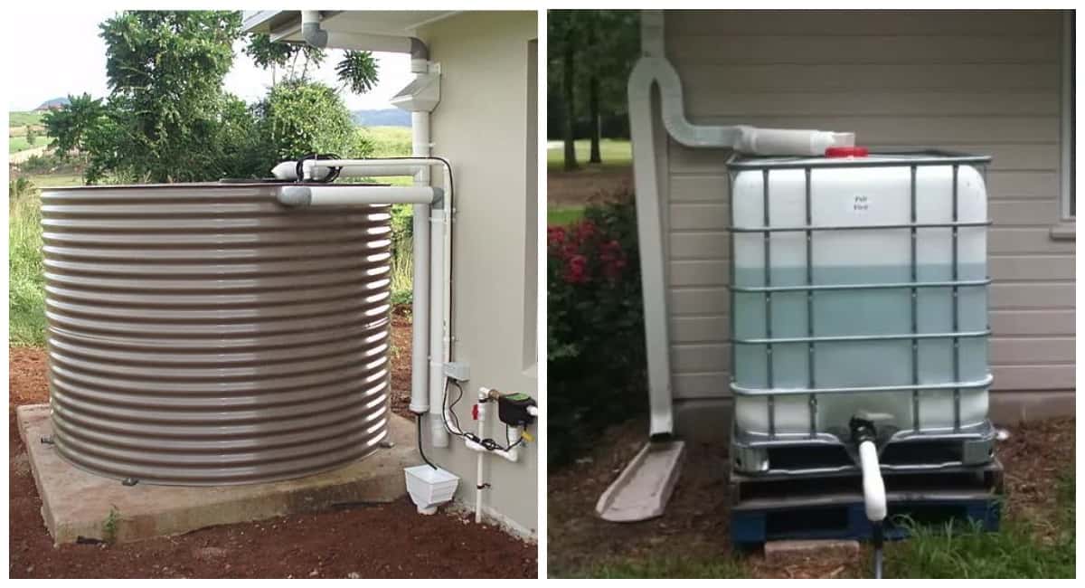 Вода из бочки — прошлый век: показываю систему сбора дождевой воды с крыши теплицы для бесплатного полива