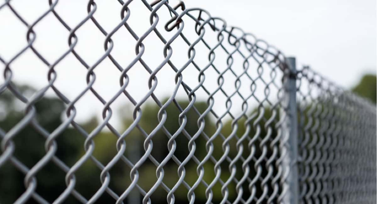 Сетка-рабица — прошлый век: сейчас все выбирают для забора этот вариант — глухой, прочный, не просвечивает