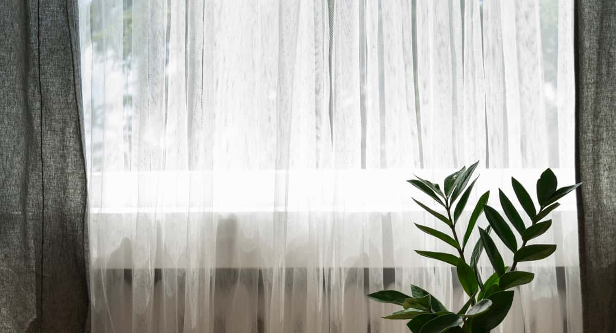 "Вешать тюль на окна — колхоз: вот чем заменяют классические шторы дизайнеры в 2026 "