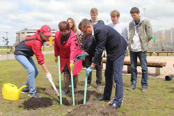 В Каменске-Уральском заложили аллею медалистов