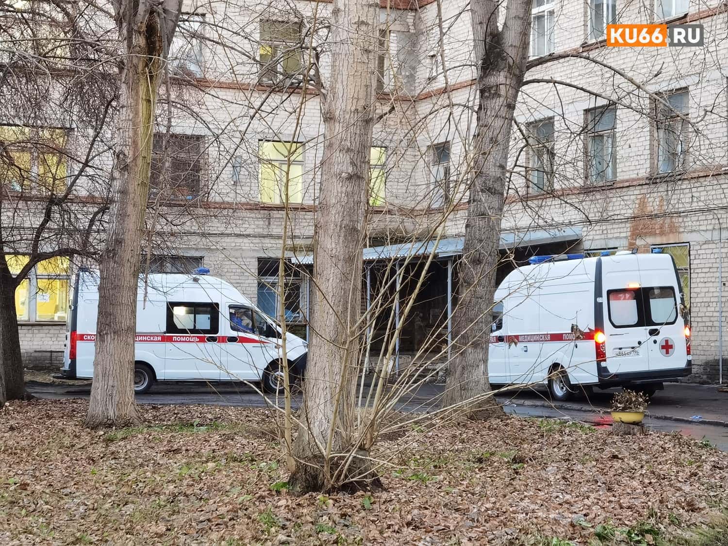 Россиянка разорвала половые органы своему мужу