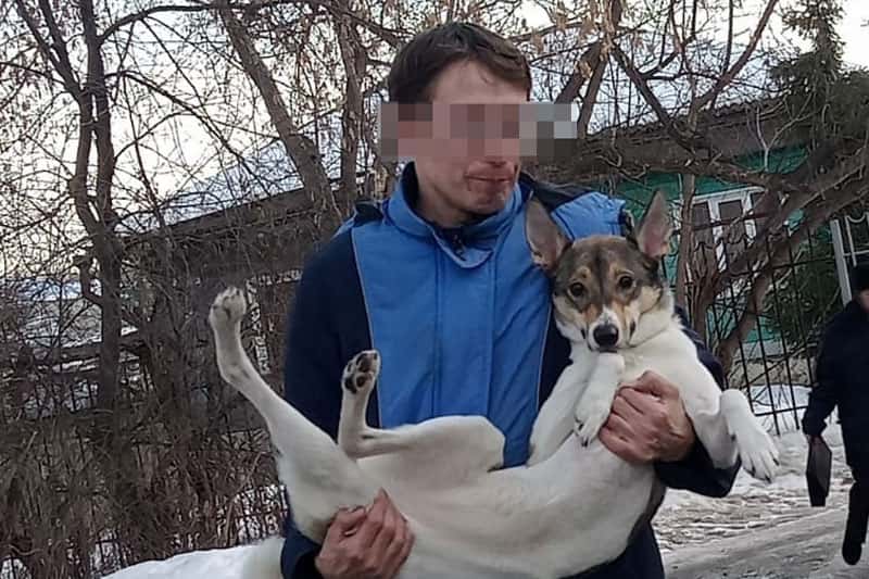 Зоозащитники обвинили жителя Каменска-Уральского в изнасиловании собаки. Рассказываем, что ответила полиция