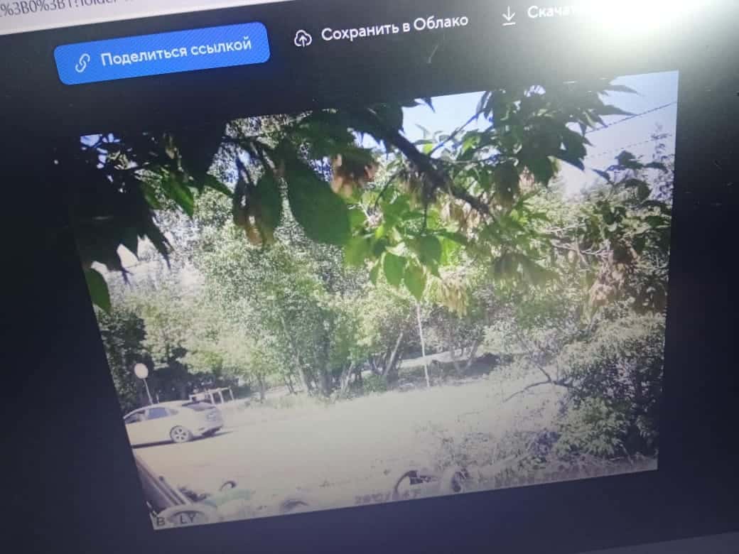 В Каменске-Уральском возле контейнерных площадок установили фотоловушки