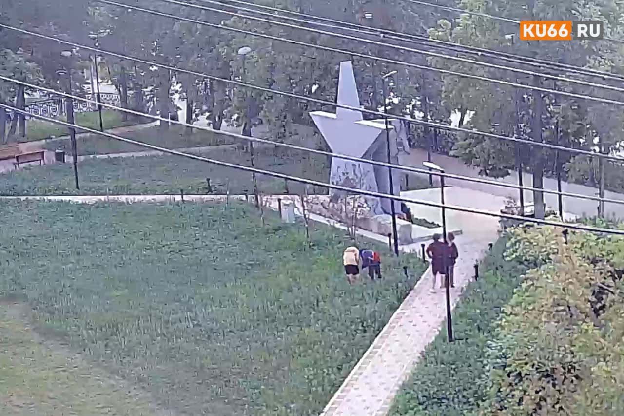 В Каменске-Уральском скосили поле конопли. ВИДЕО