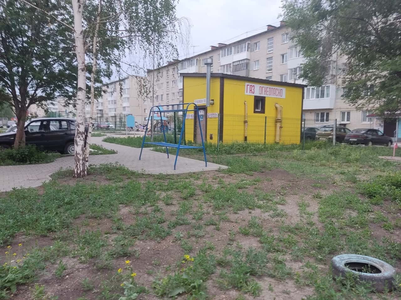 Каменск-Уральский зарастает коноплёй, сообщают очевидцы в соцсетях