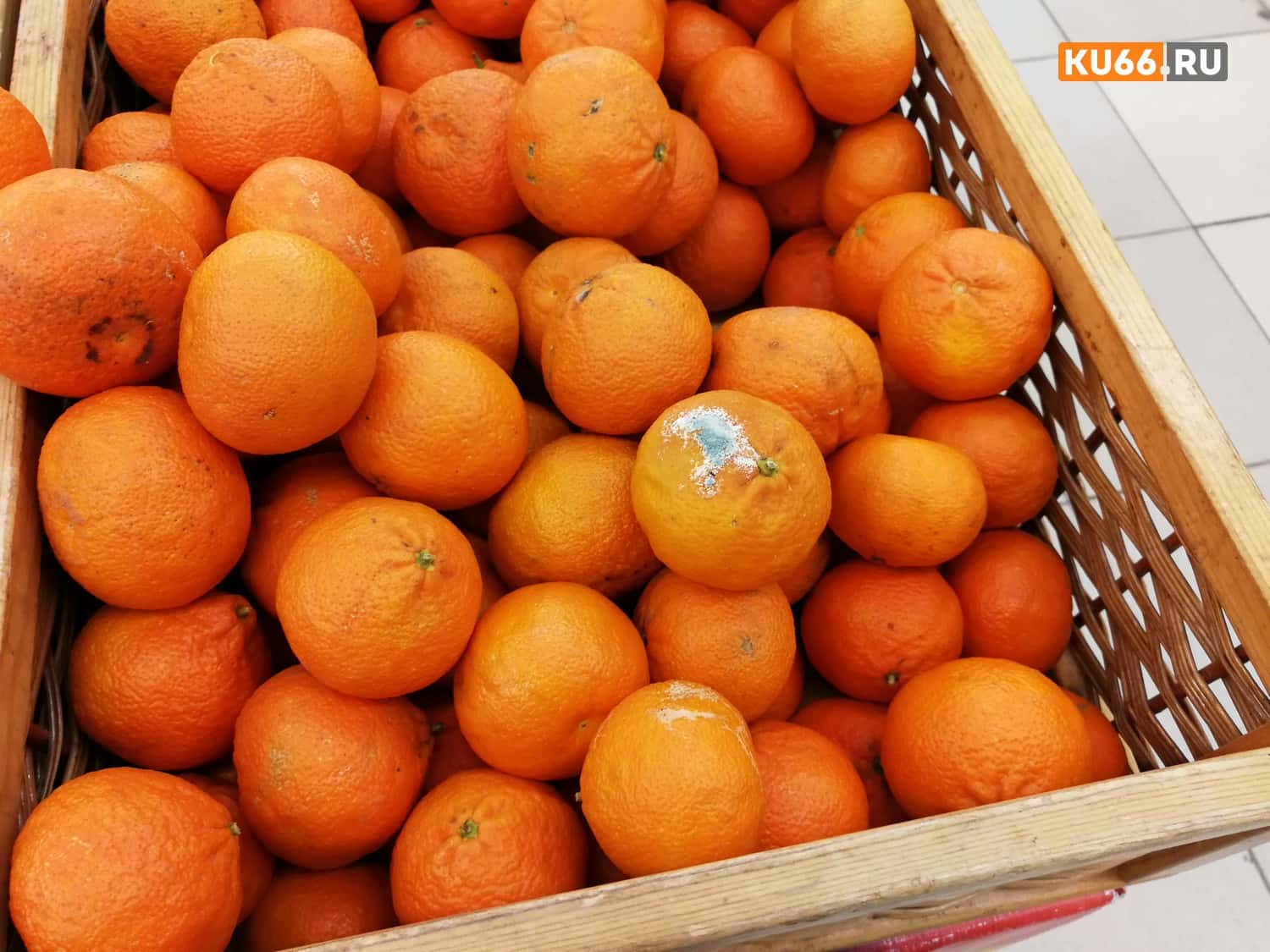 Жители Каменска-Уральского жалуются на продавцов гнилых овощей 