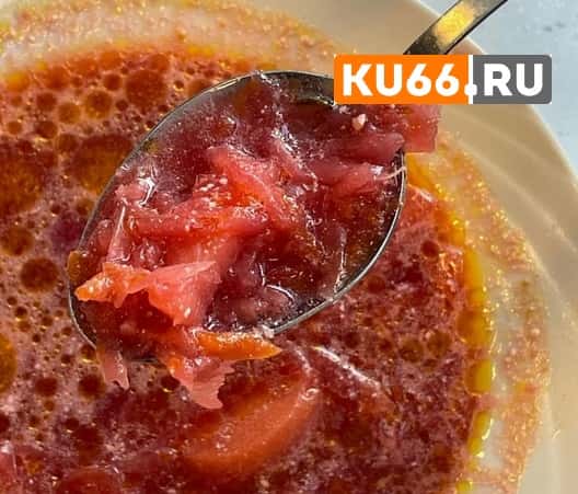 В Каменске-Уральском школьники пожаловались на опарышей в еде 