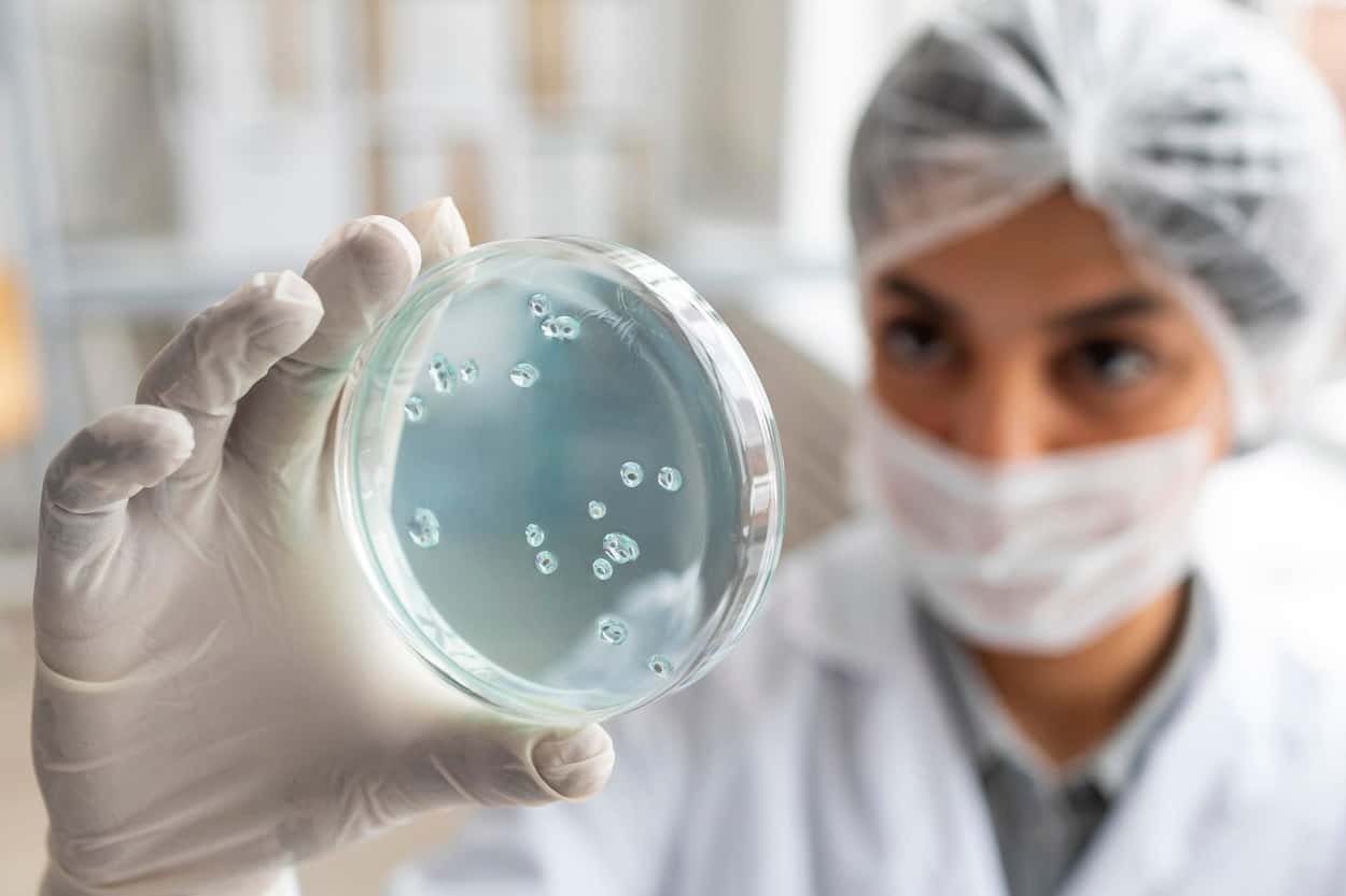 Импорт в Россию молока и мяса приостановлен из-за оспы