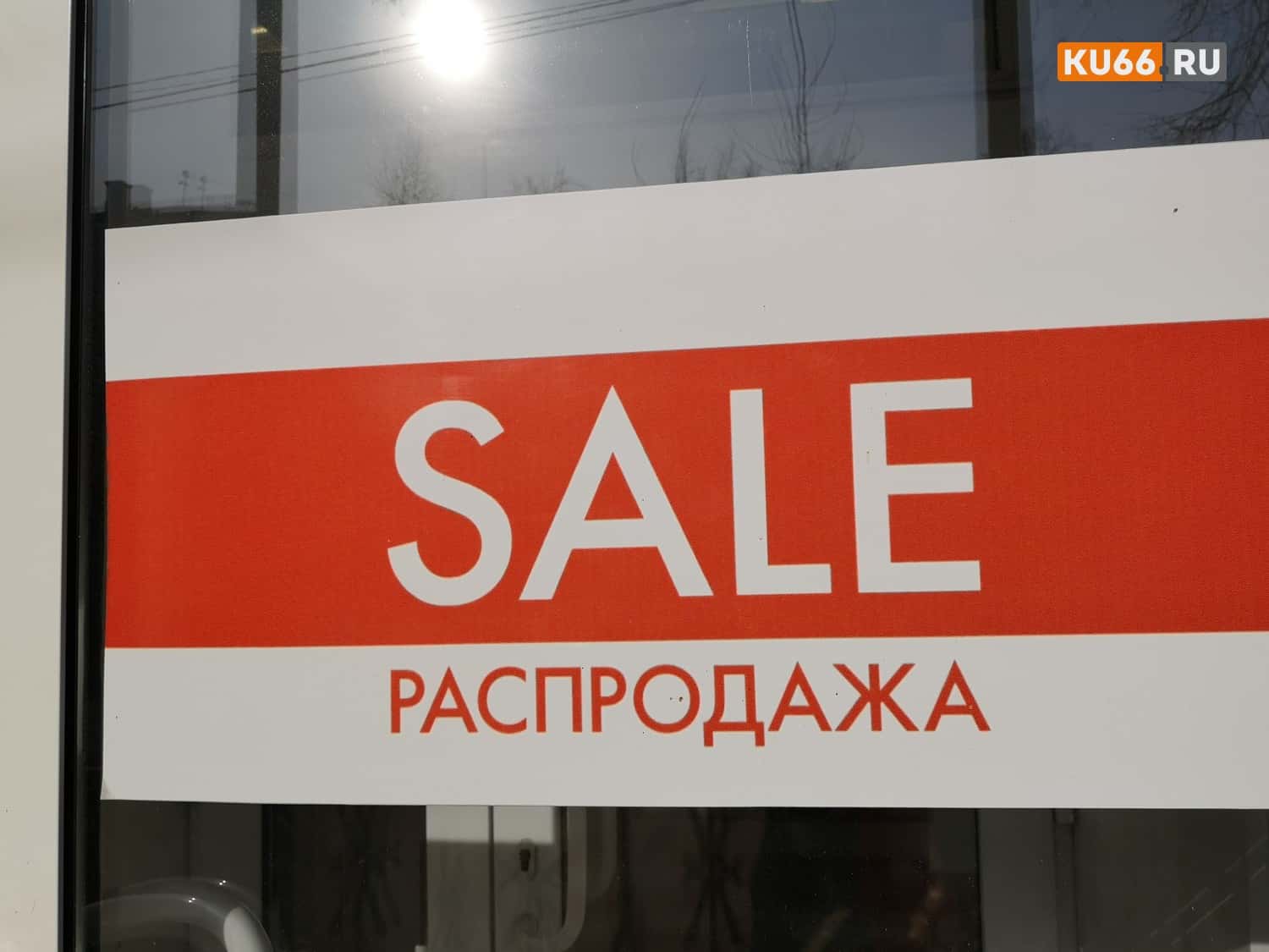 Будут продаваться за копейки: какие товары подешевеют к Новому году