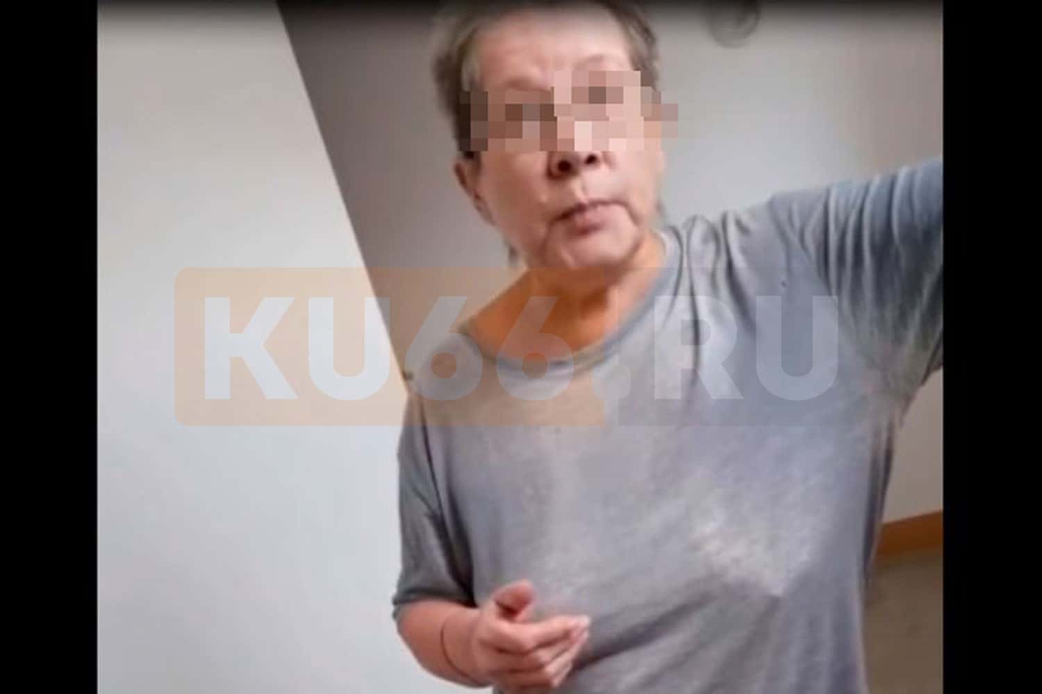 В Каменске-Уральском пенсионерка "избила" лопатой дворника