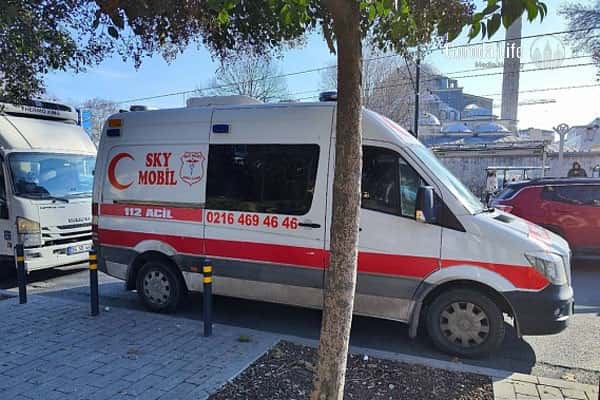 «Могли загрызть кабаны»: пропавшую в Турции россиянку нашли мертвой и обезображенной