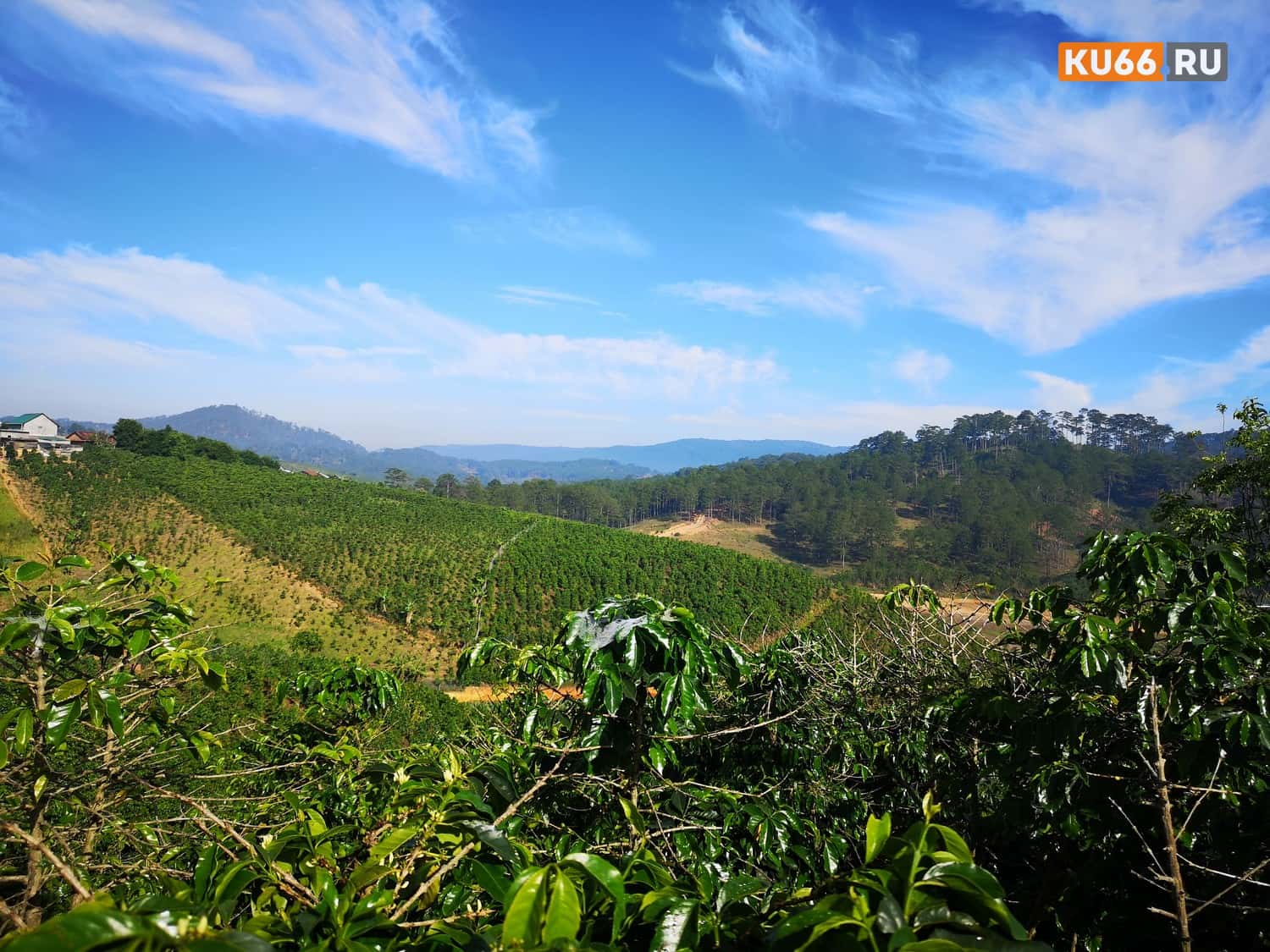 Под Каменском-Уральским обнаружили более 12 гектаров заброшенных сельхозземель