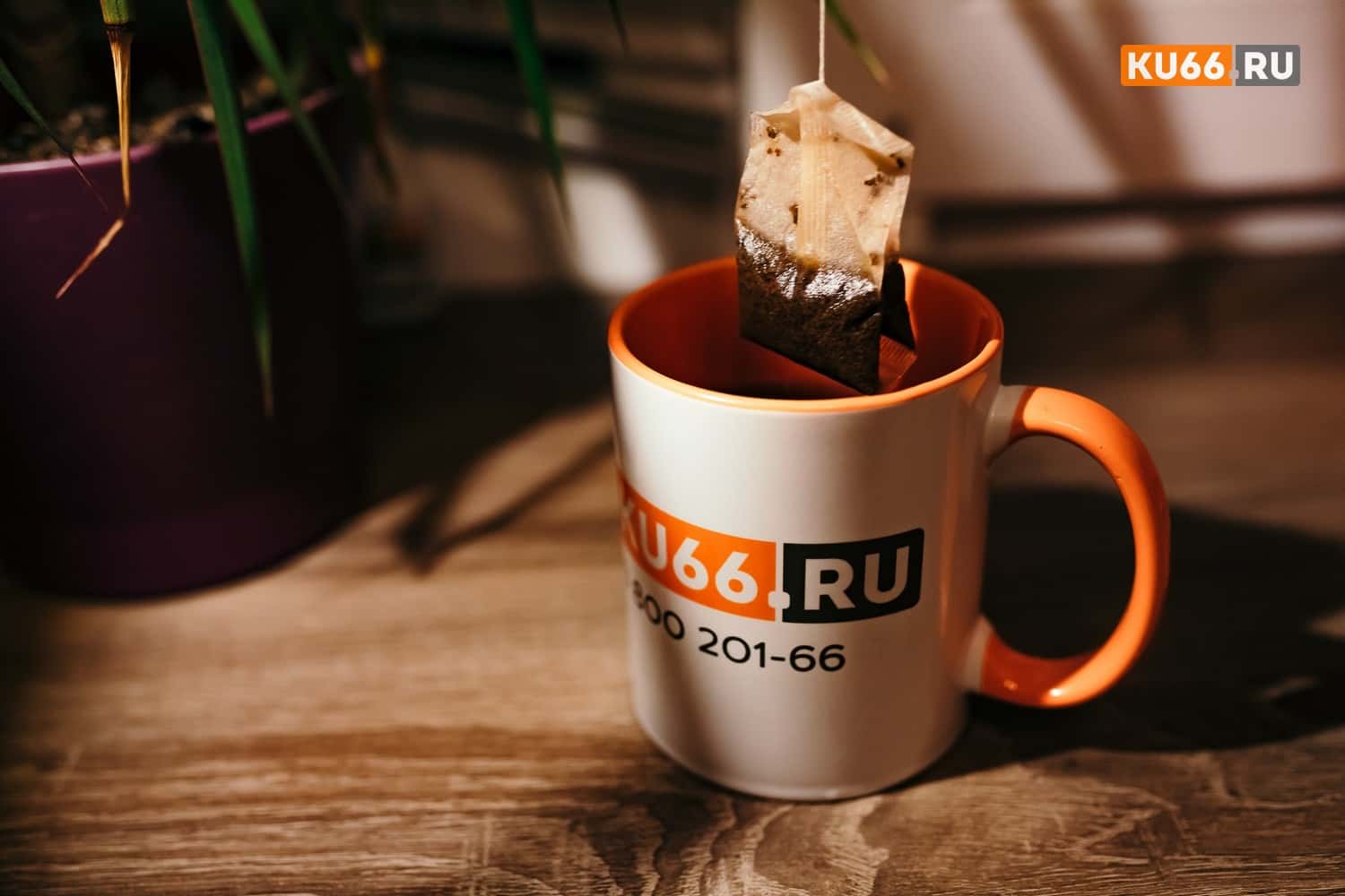 Назван вид чая, мешающий образованию раковых клеток 