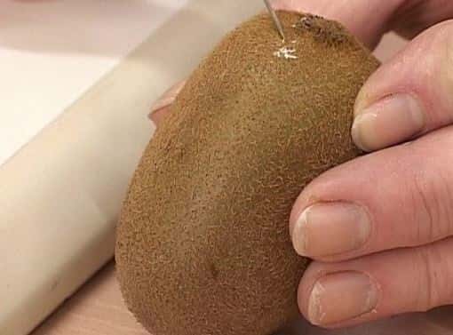 В Свердловской области будут продавать тонны зараженных киви