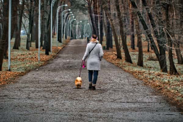 10 тысяч шагов в день не обязательны для улучшения здоровья