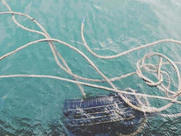 «Паводок добрался и до Челябинска»: тонет посёлок Есаульский