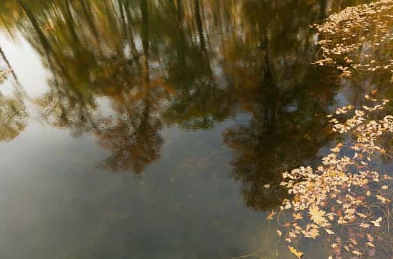 Свердловскую деревню «отрезало от мира» из-за паводка