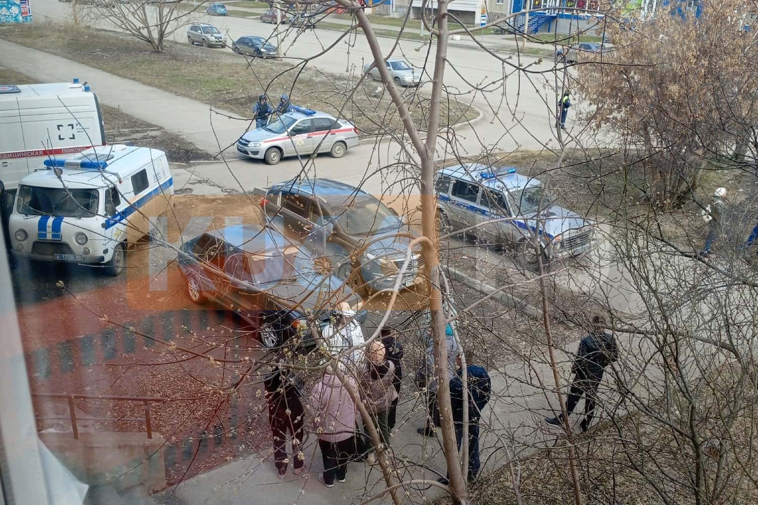 В Каменске-Уральском на почте "запиликала" посылка из Таджикистана. Видео