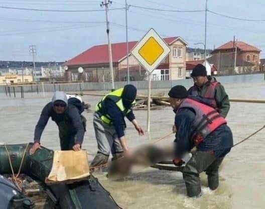 «По улицам плавают скелеты»: В Казахстане наводнение размыло кладбища