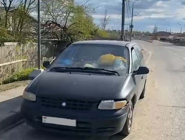 Театральный режиссёр 3 недели живёт с дочерью и 8 кошками в машине