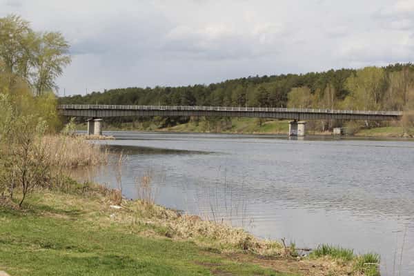 Проект «Берег чемпионов»: перспективы и инновации для благоустройства набережной Исети