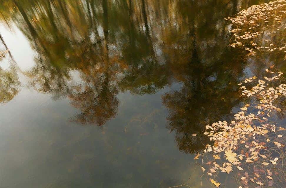 Все свердловские водоёмы оказались непригодны для купания