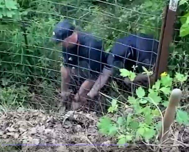 «Господи, помилуй»: Жительница Ленобласти услышала из под земли мольбы и стоны