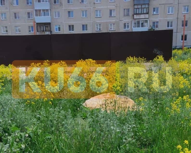 Жители Каменска-Уральского пожаловались на заросший травой бульвар 