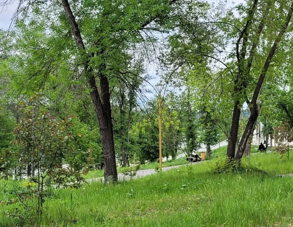 В Каменске-Уральском начался покос травы 