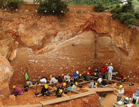 В Екатеринбурге отменили выставку памяти расстрелянных во время репрессий