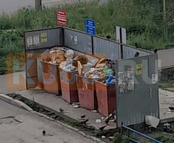 Жители Каменска-Уральского пожаловались на горы мусора и антисанитарию