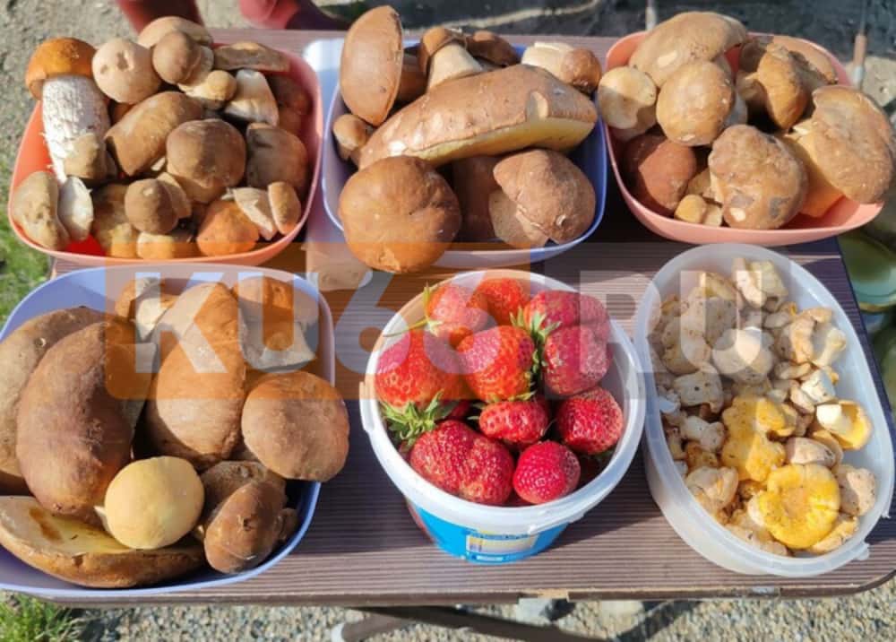 В Каменске-Уральском открылся грибной сезон