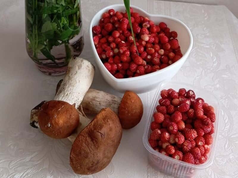 «Грибной сезон открыт»: уральцы рассказали, куда ходить «по грибы» в июле 