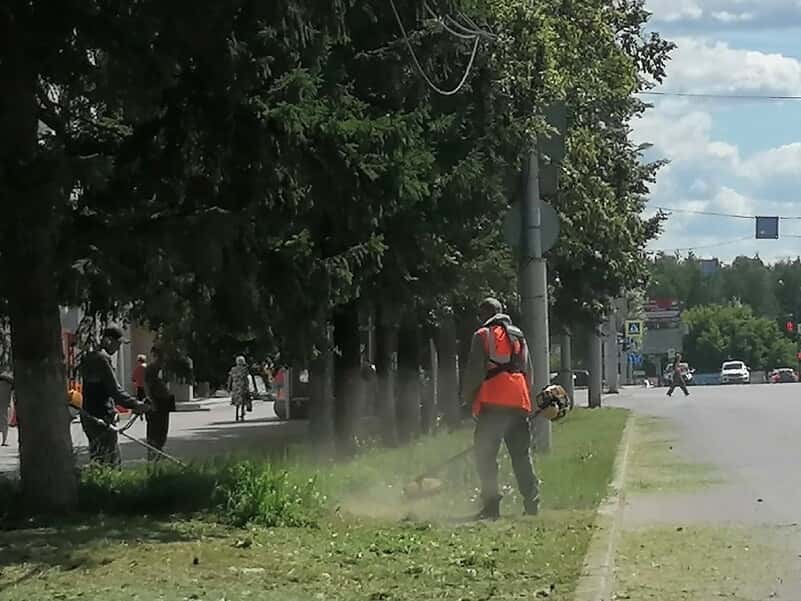 «Все ушли на СВО»: администрация Каменска-Уральского объяснила, почему в городе не косят траву 