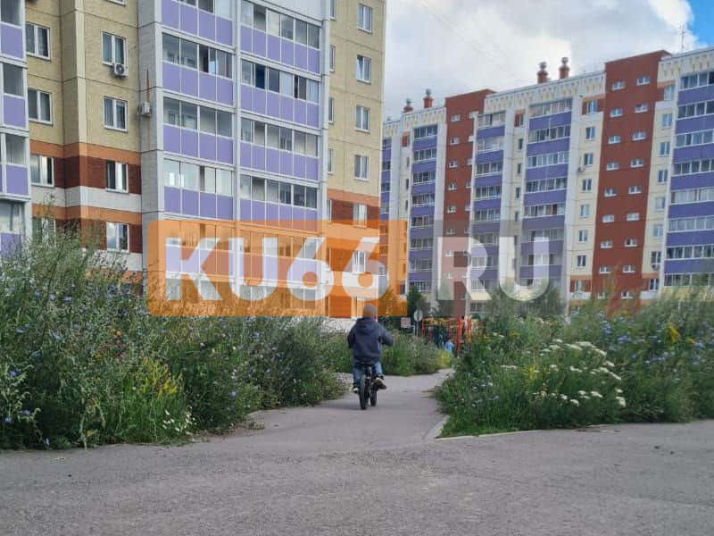 Обещали — не сделали: в Каменске-Уральском так и не выкосили траву на бульваре Комсомольский