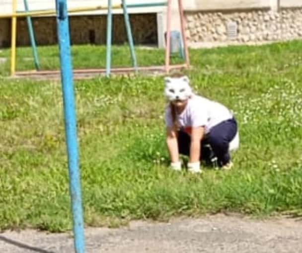 «Путевка на Абрамова»: жители Каменска-Уральского заметили квадробера на улице