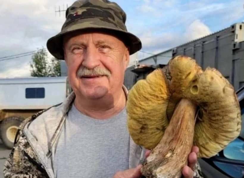 Гриб весом полтора килограмма: в Каменске-Уральском нашли гигантский трофей