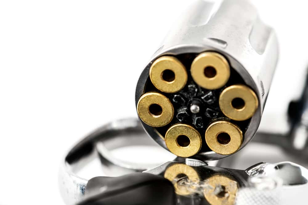 Генпрокурор РФ раскрыл новые подробности убийства царской семьи в Екатеринбурге